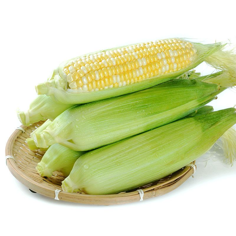 可以生吃的玉米品种(可生吃的玉米新鲜出炉)