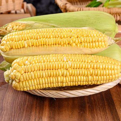 可以生吃的玉米品种(可生吃的玉米新鲜出炉)