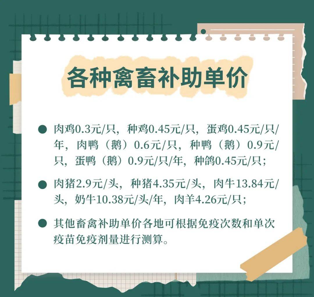 养殖鸡国家有多少补贴(2021养殖鸡国家有多少补贴)