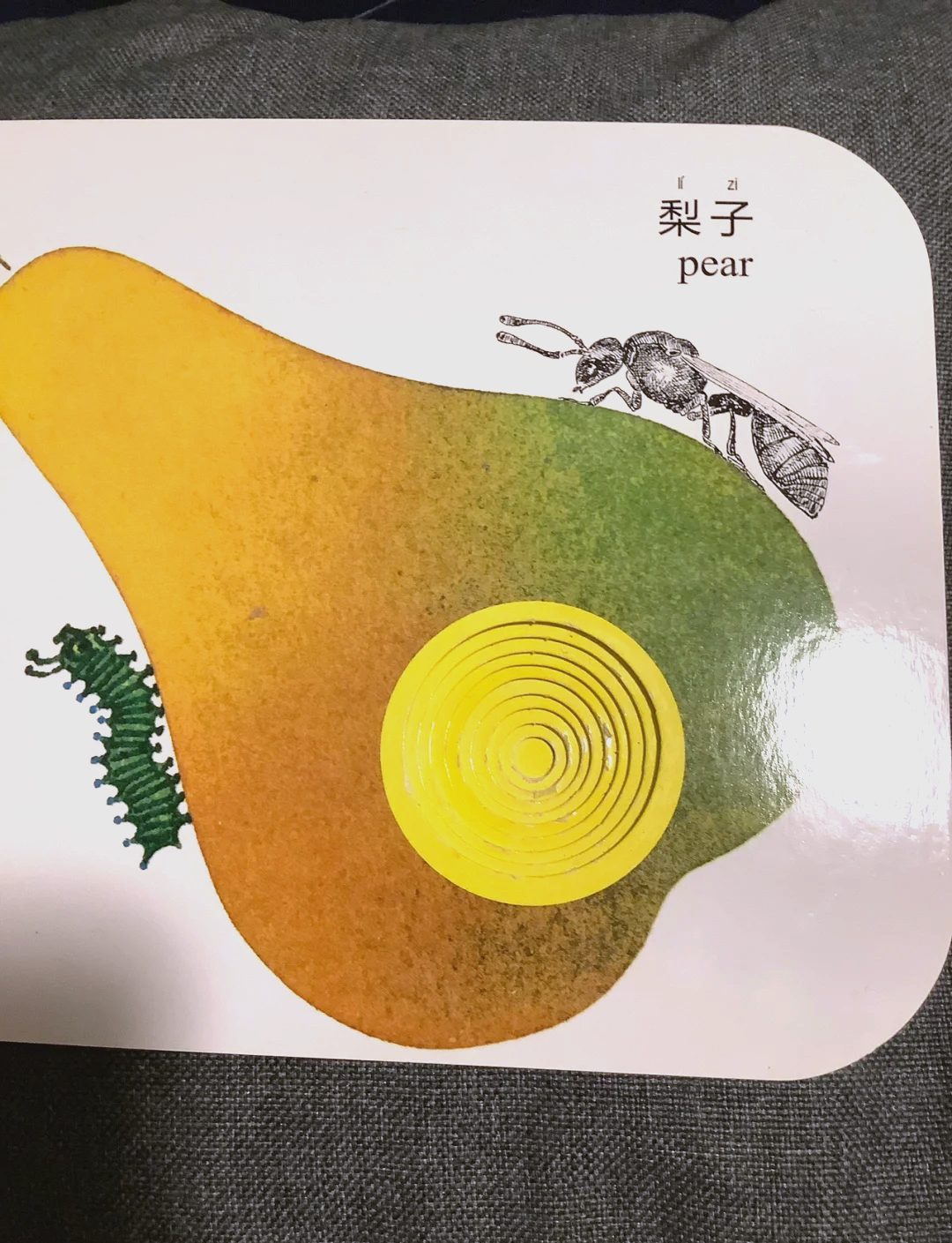毛毛虫的繁殖方式是什么的简单介绍