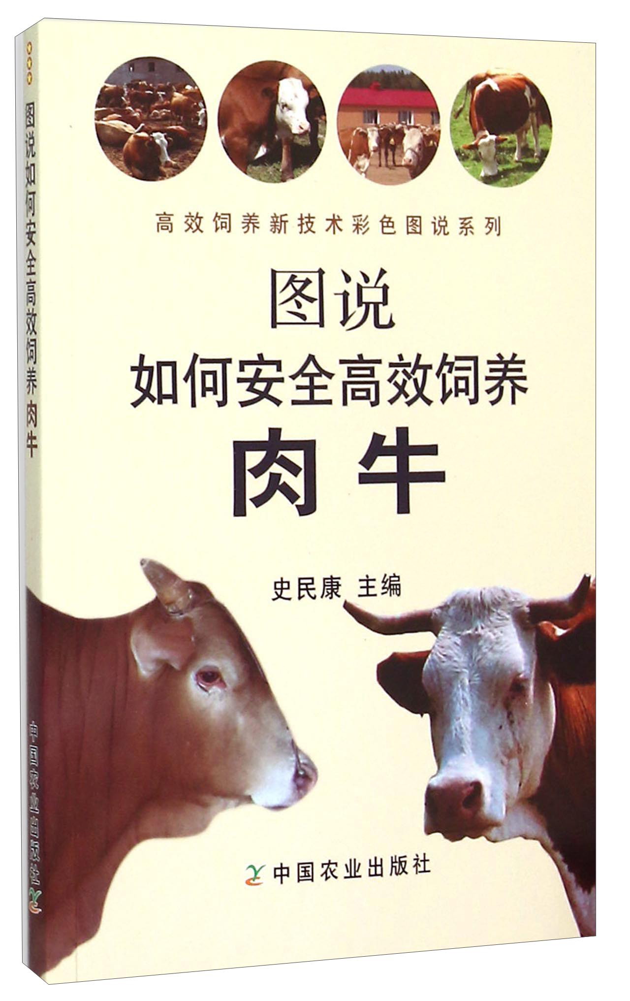 养牛技术和饲养方法视频(养牛技术和饲养方法视频讲解)