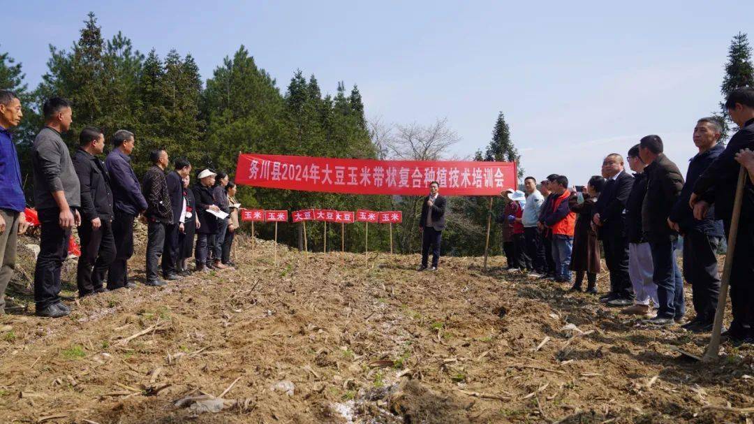 玉米种植培训(玉米种植培训图片)