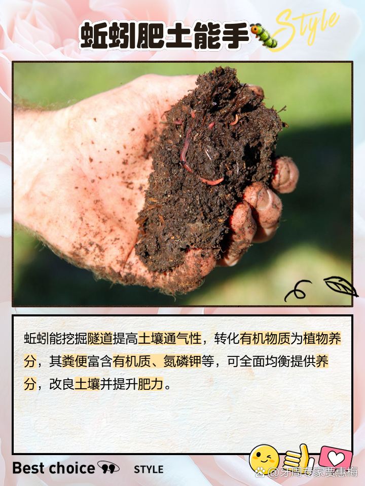保定蚯蚓养殖技术(保定哪里有养蚯蚓的)