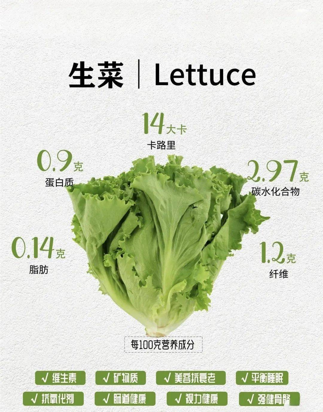 生菜一定要移栽吗(生菜移栽好还是不移栽好)