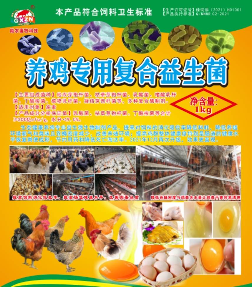 关于肉鸡饲养,散肉鸡养殖,,1.24,2,高,培育词的信息