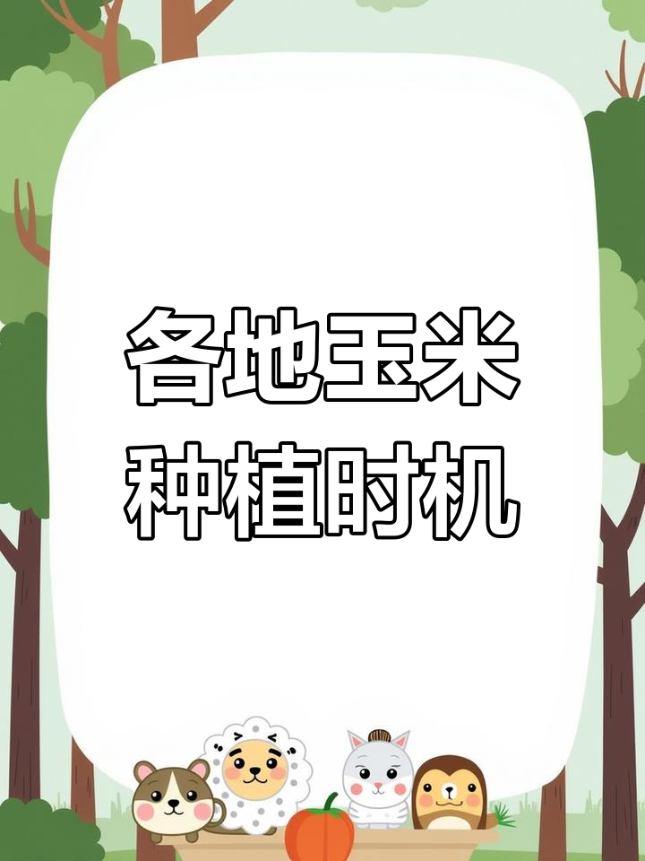南方玉米播种时间(南方玉米种植什么时候施肥)