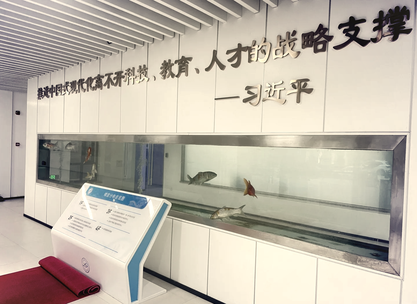 上海海洋大学水产养殖(上海海洋大学水产养殖考研科目)