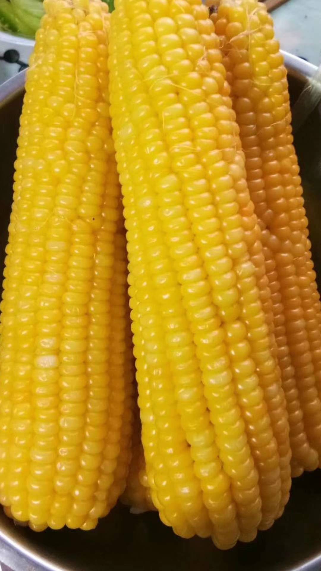 冷冻东北粘玉米(冷冻的东北粘玉米煮多长时间)