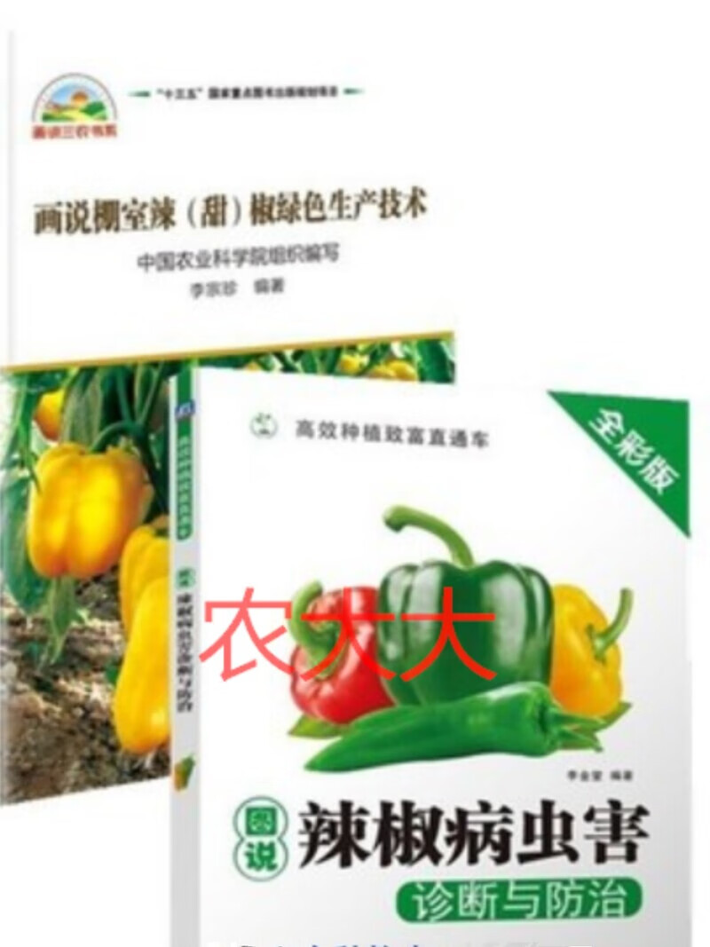 韩国红辣椒种植技术(韩国红辣椒价格最新行情)