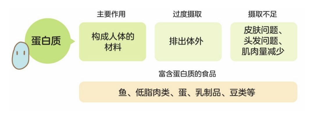 吃豆类食品能减肥吗(吃豆类食品有助于减肥吗)