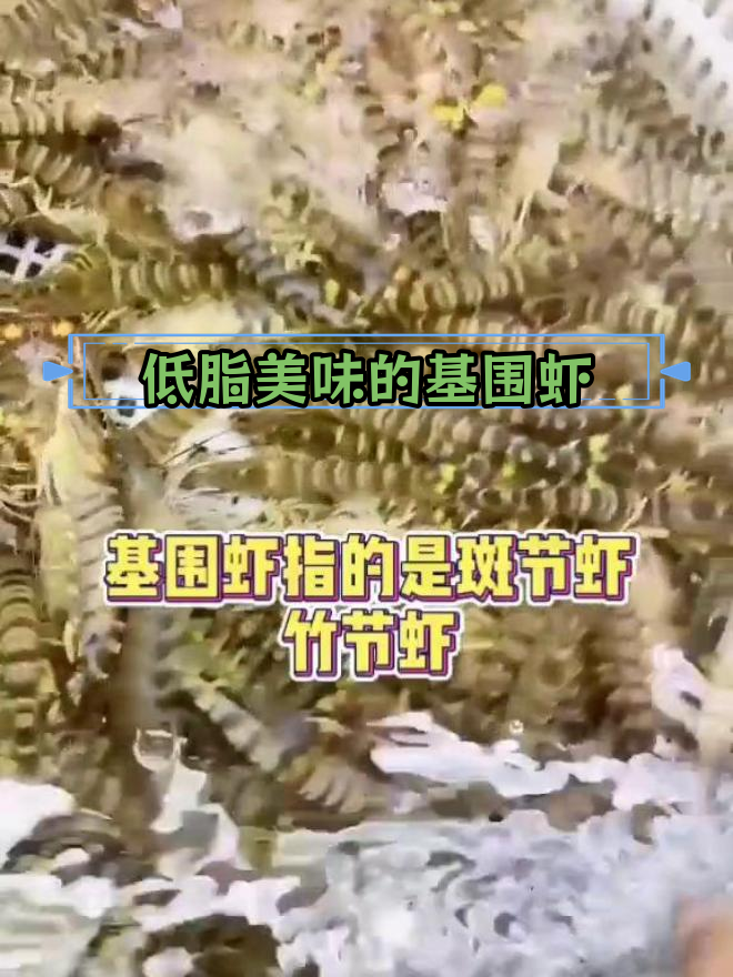 淡水基围虾养殖技术的(淡水基围虾养殖技术的发展趋势)