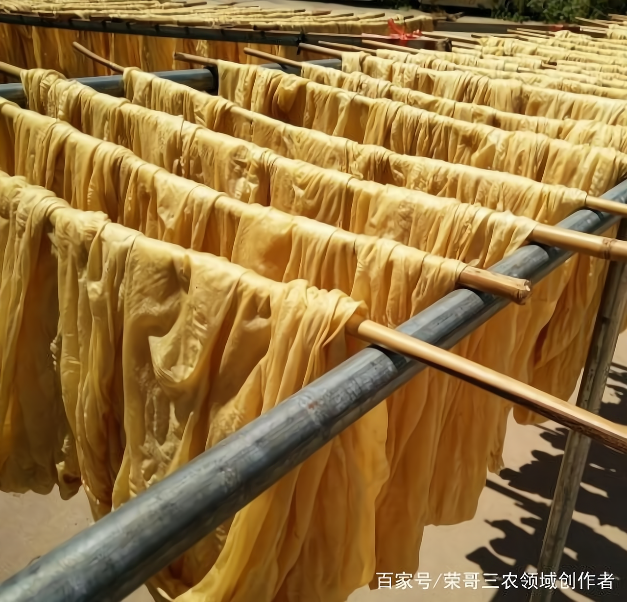 自己加工什么(自己加工什么往饭店送好)