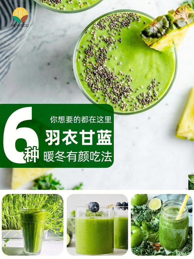 羽衣甘蓝营养(羽衣甘蓝营养价值)