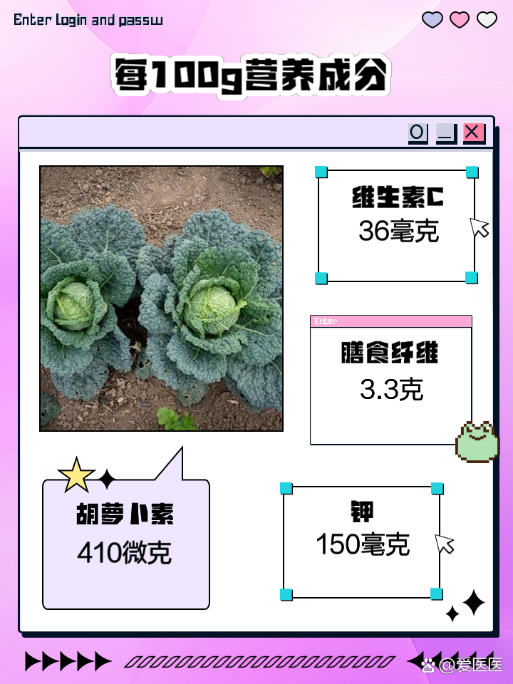羽衣甘蓝营养(羽衣甘蓝营养价值)