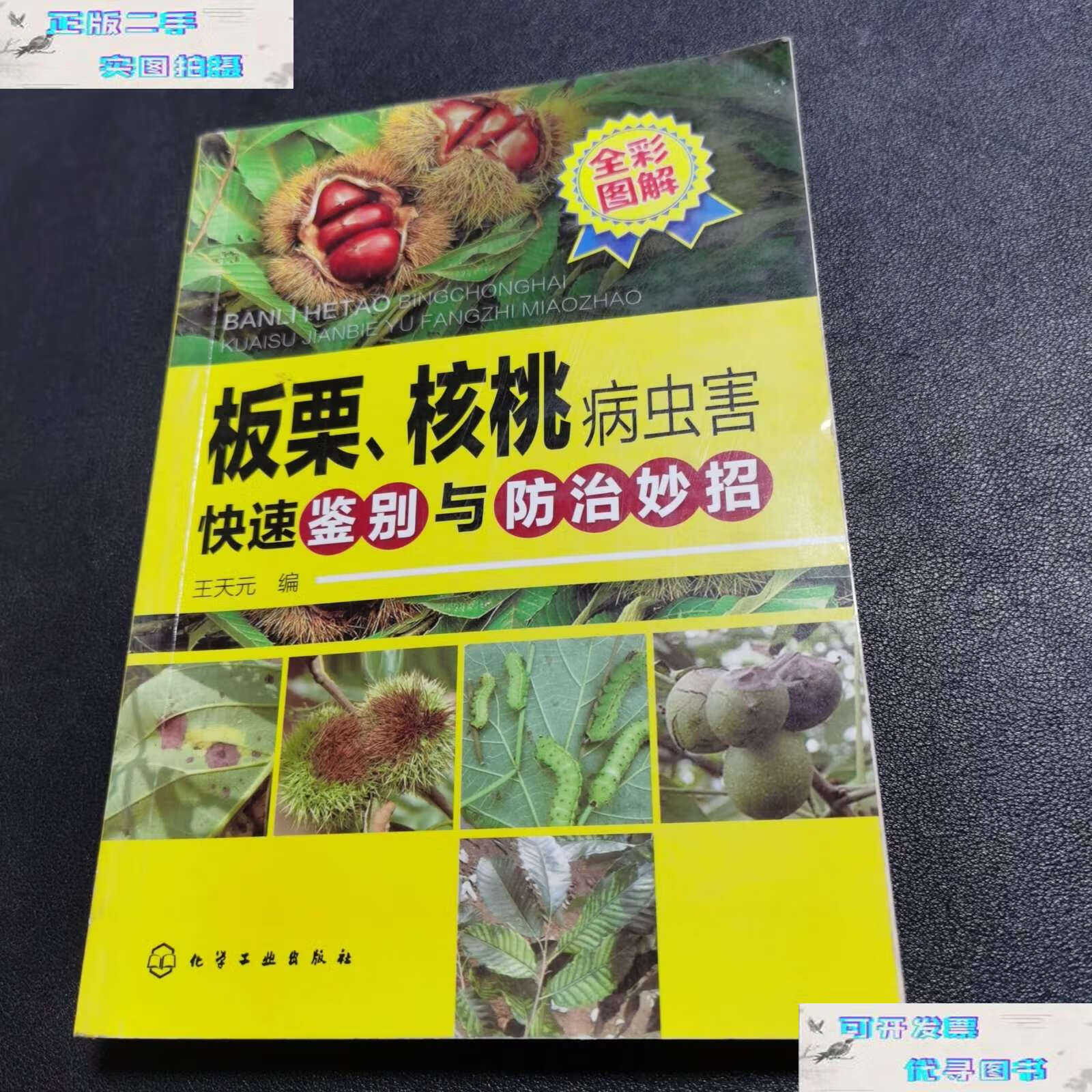 核桃的病虫害防治(核桃病虫害防治简报)