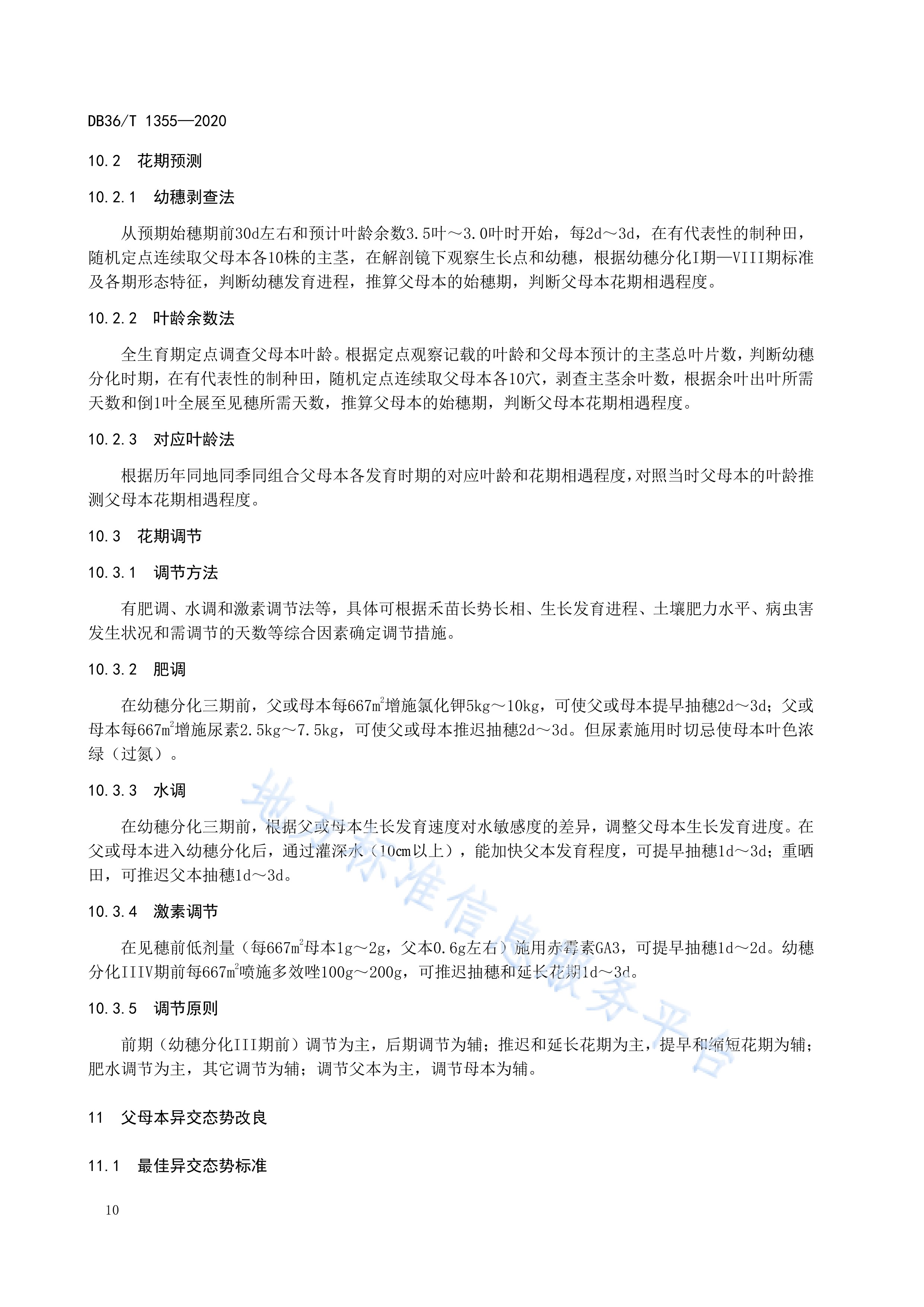 水稻种植生产技术规程(水稻种植生产技术规程最新)
