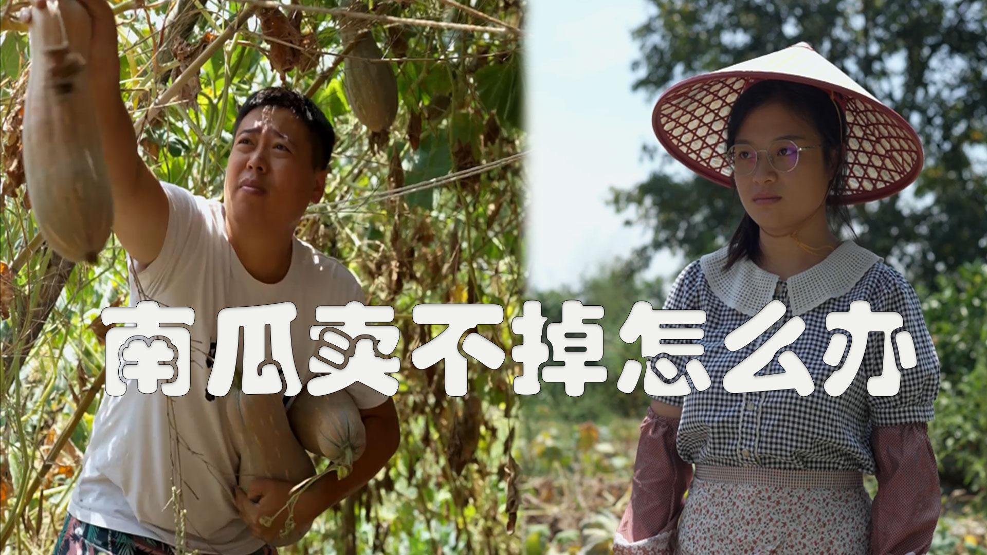 三农的定义(三农指的是什么意思)