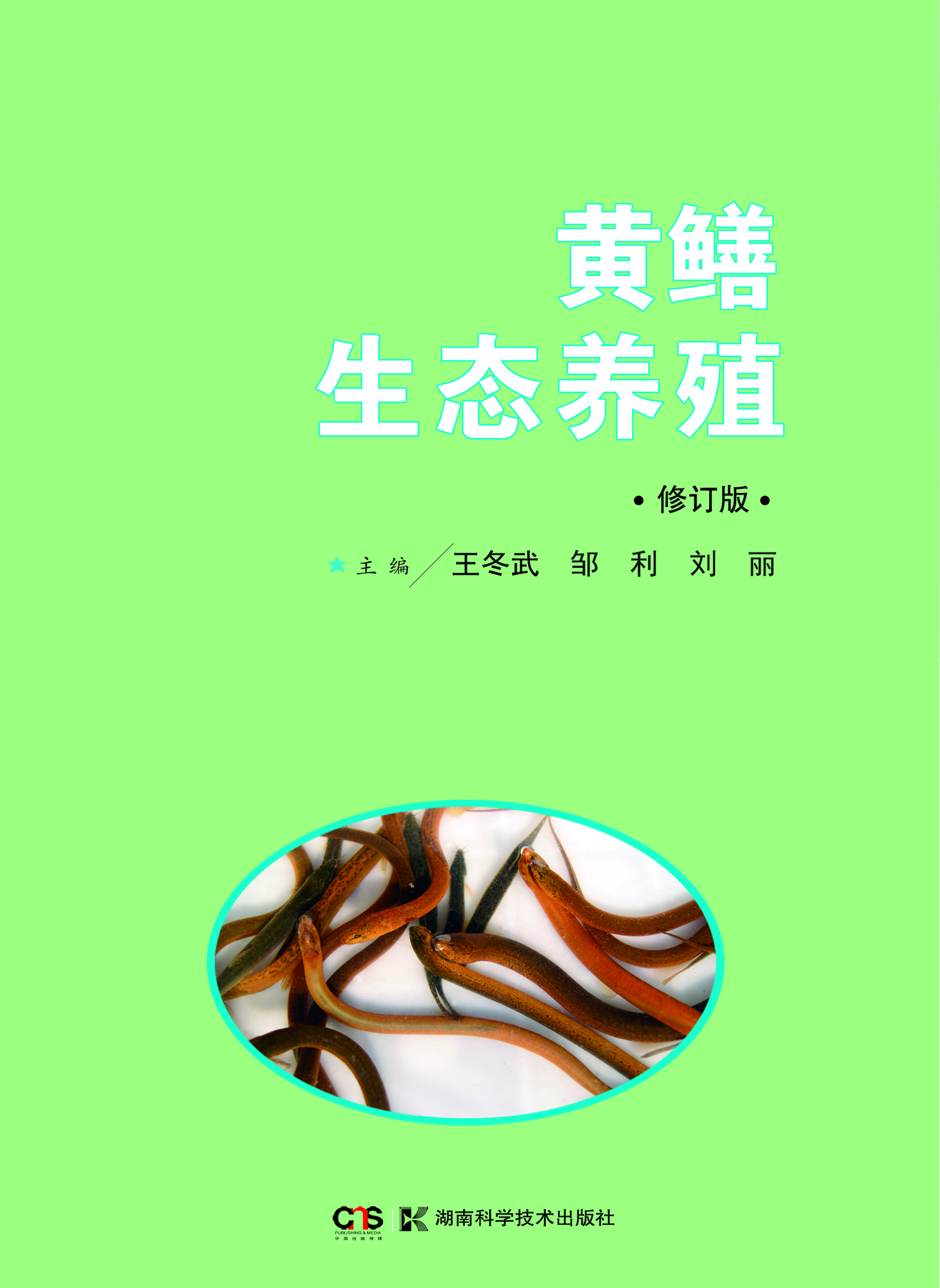 黄鳝水泥池养殖技术(养黄鳝用水泥池塘好还是泥塘好)