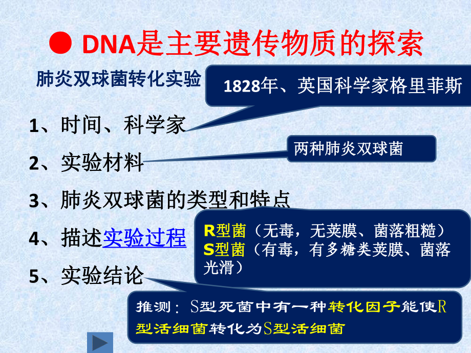 储存遗传信息的是(储存遗传信息的是DNA吗)
