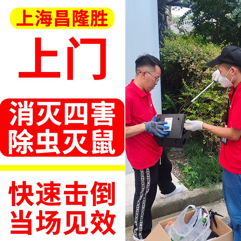 办公楼杀虫服务(办公楼消杀多少钱一平米)