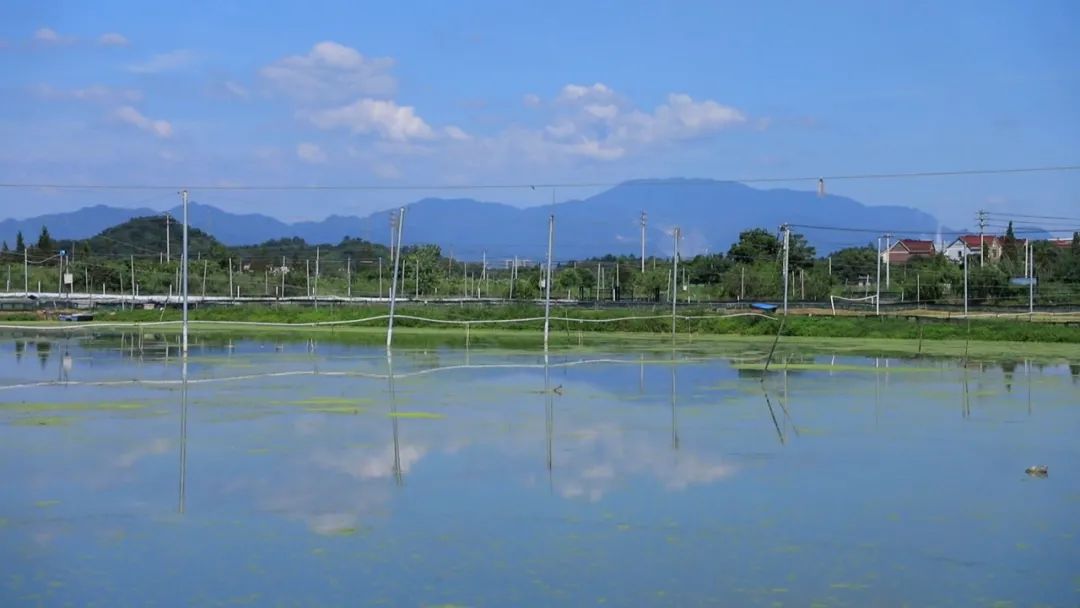 水产的养殖地(水产的养殖地点有哪些)