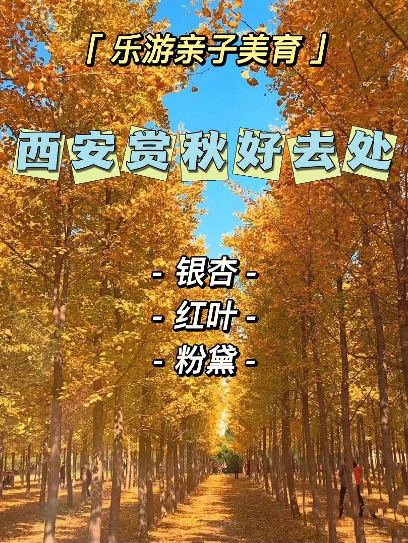 汉秋好除草(韩秋好除草剂)