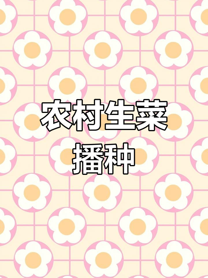生菜几月可以种(生菜几月可以种了)