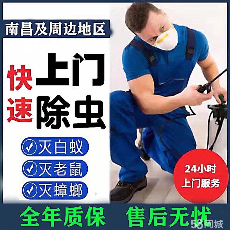 南昌灭虫公司(南昌专业灭鼠公司)