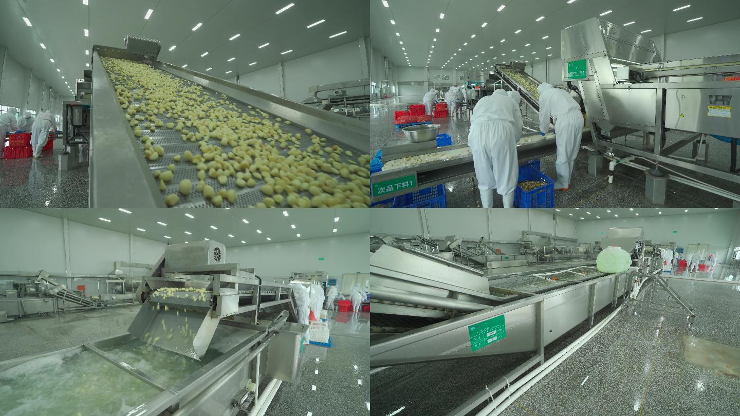 小型蔬菜加工厂图片(小型蔬菜店装修效果图)