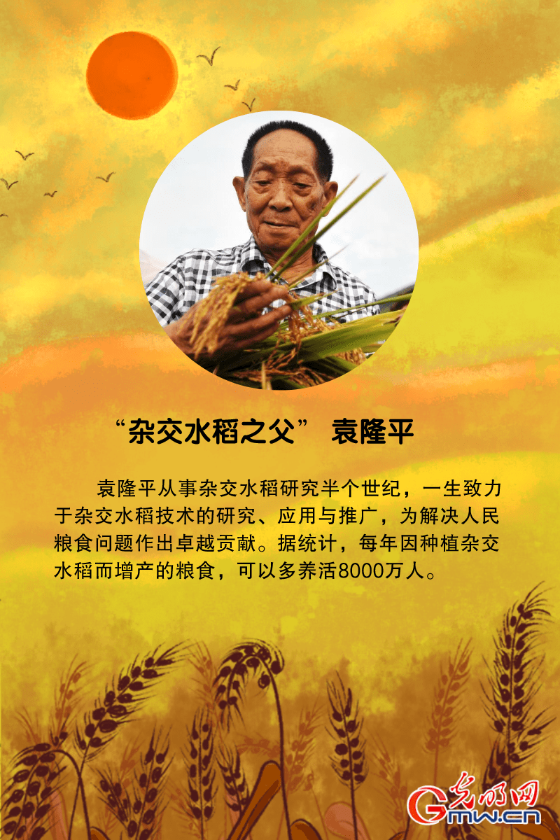龙粳3024水稻种子简介(龙粳3024水稻种子简介龙粳3024和龙盾1614哪个好?)