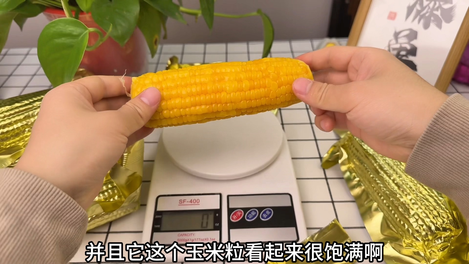 茬玉米(茬玉米是什么意思)