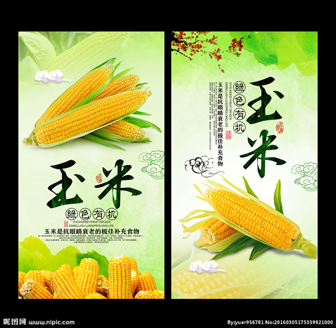 齐丰3871玉米种子简介(齐丰kbs1703玉米种子简介)