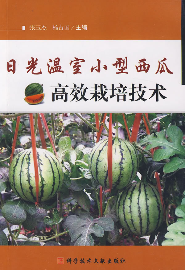 露天西瓜种植方法和技术(露天西瓜种植方法和技术要点)