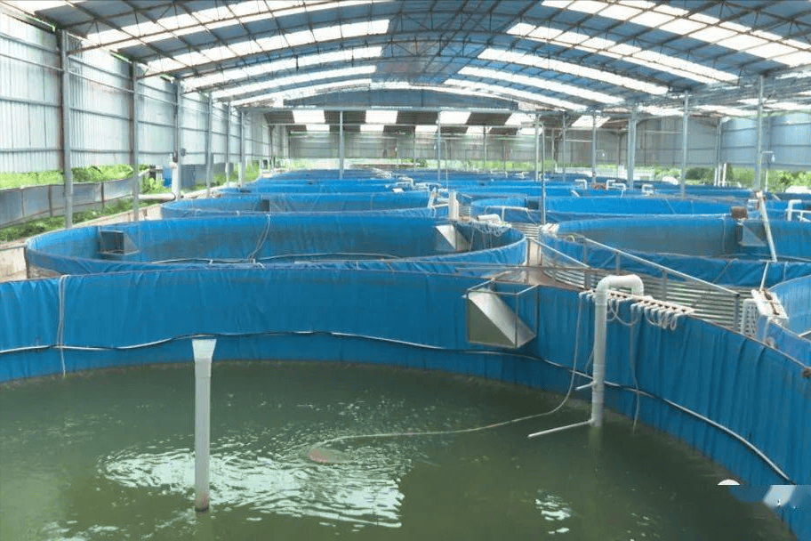 水产温室养殖(水产养殖水温多少合适)