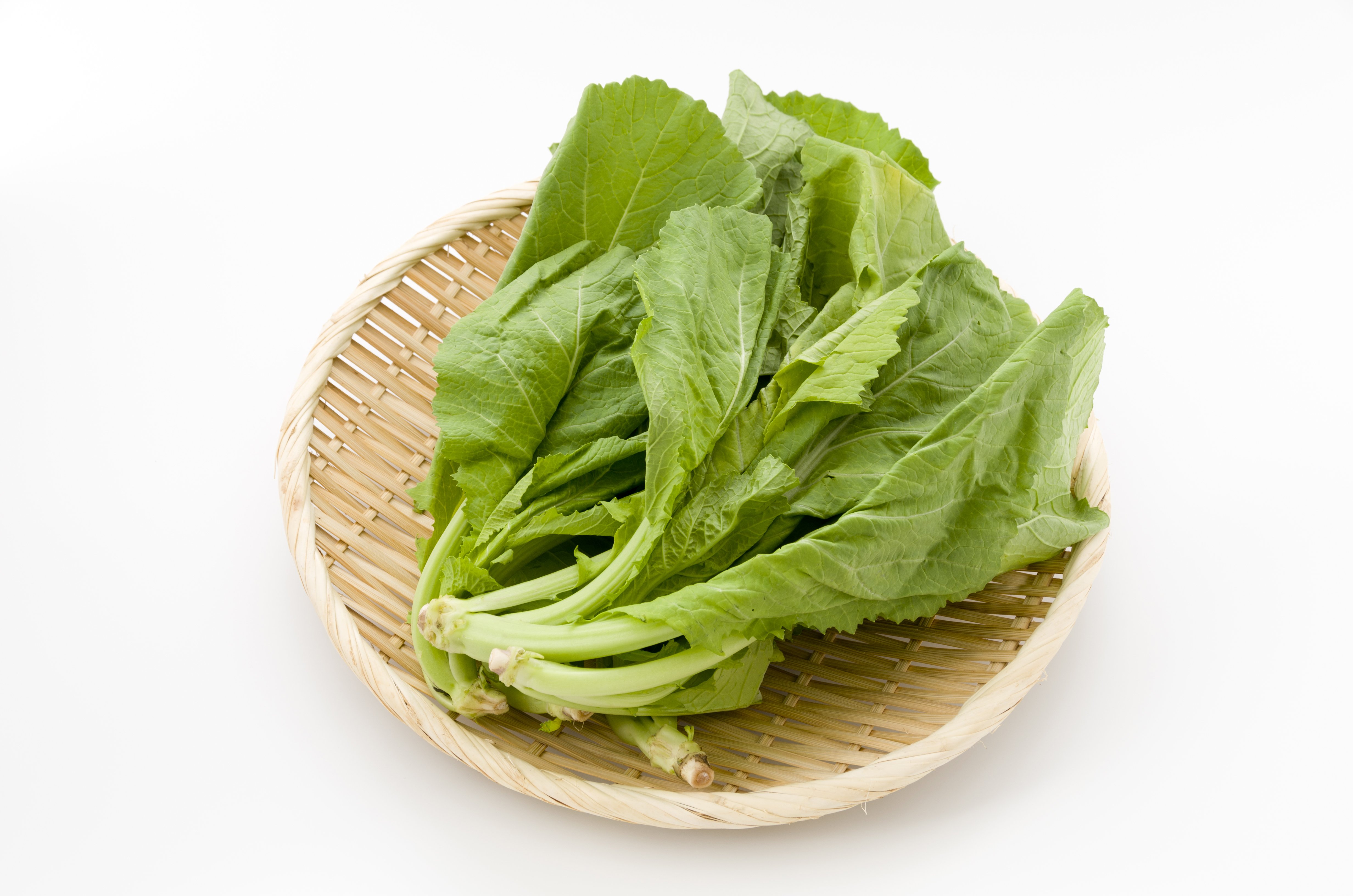 仁芥菜(仁芥菜又叫什么)