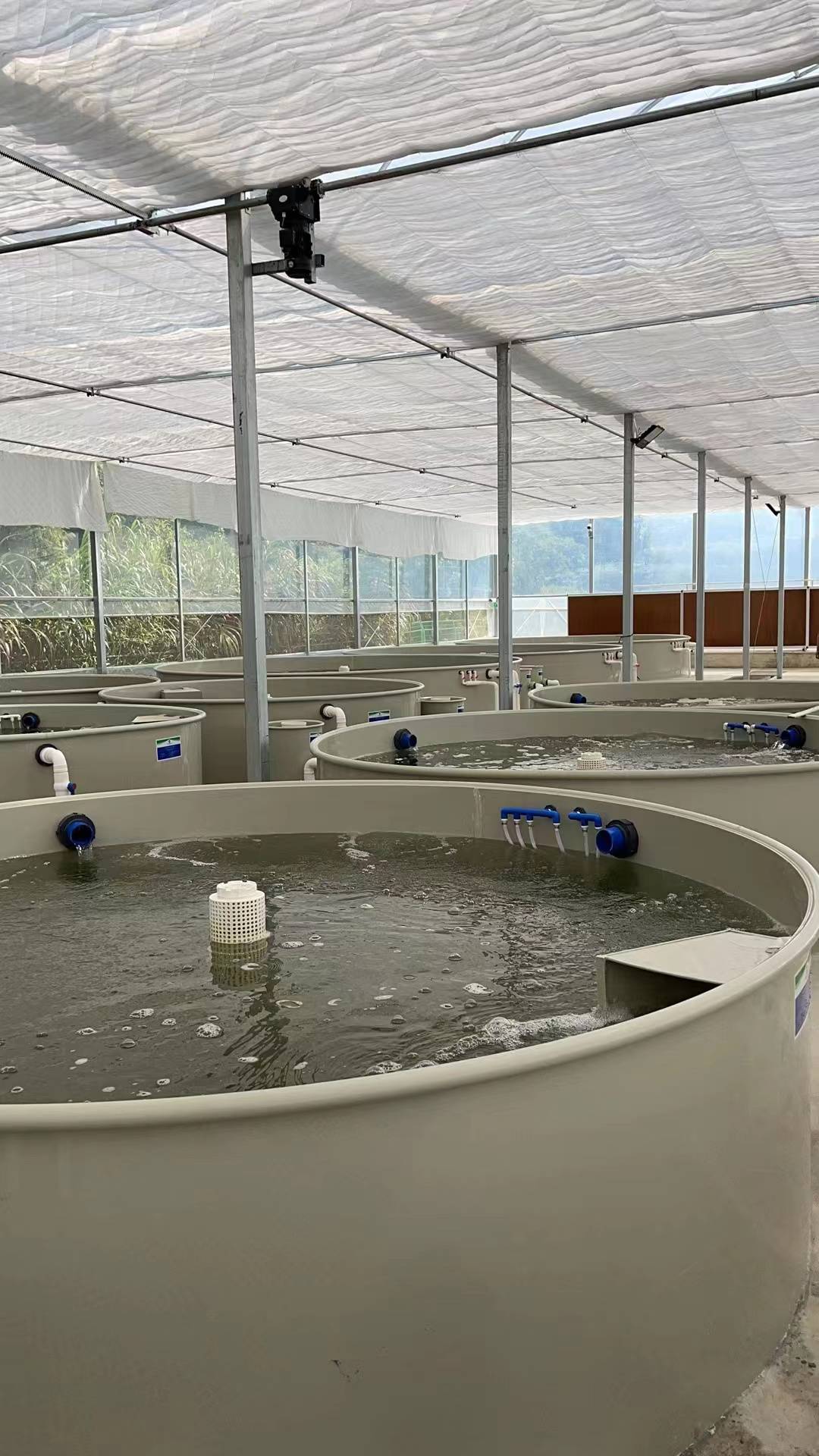 水产养殖哪个地方多(水产养殖哪个地方多一点)