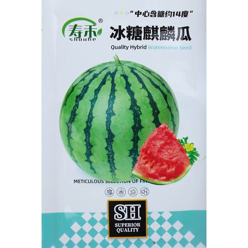 特大西瓜种子有什么品种(特大西瓜种子有什么品种图片)