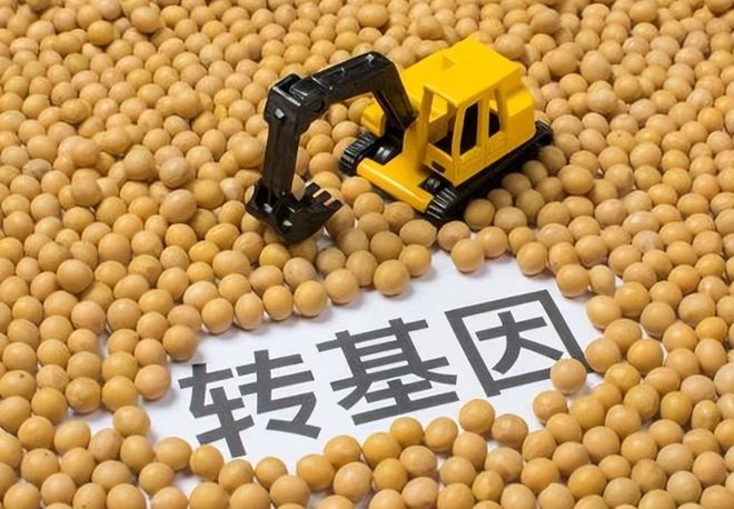 转基因动植物有哪些(转基因动植物有哪些种类)