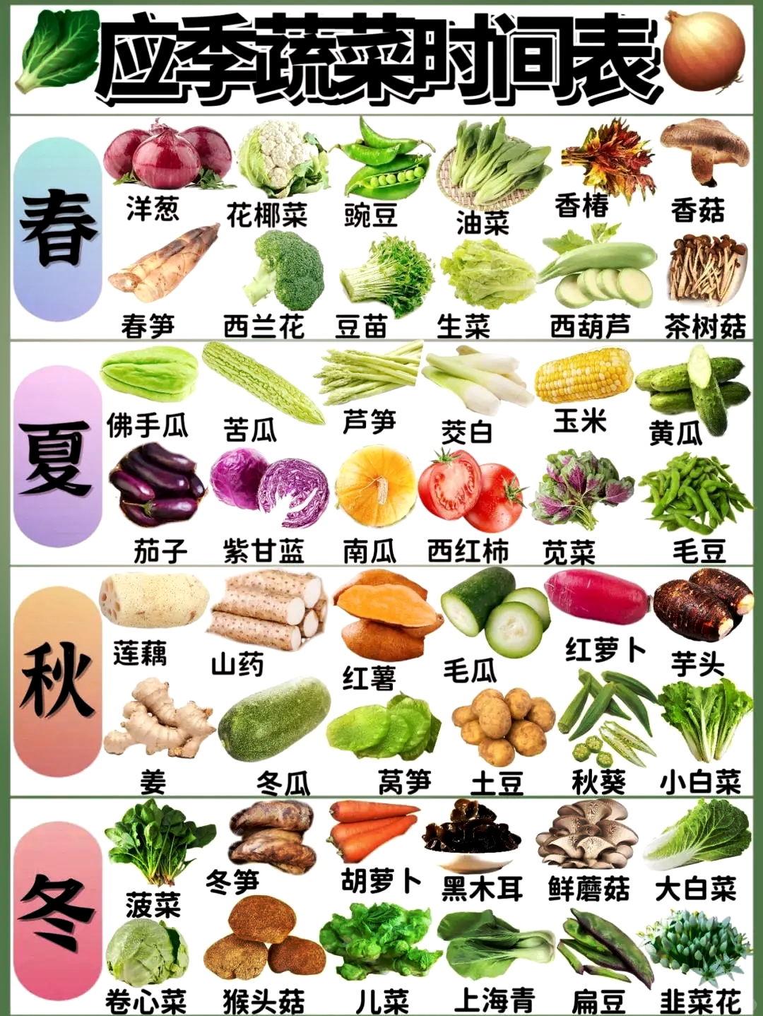 时令蔬菜种植技术(时令蔬菜的种植和营养价值)