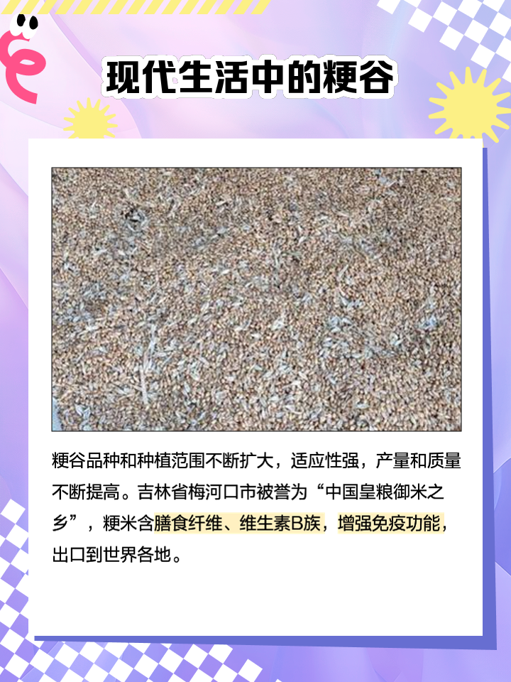 松粳10水稻品种简介(金禾松粳60水稻品种简介)