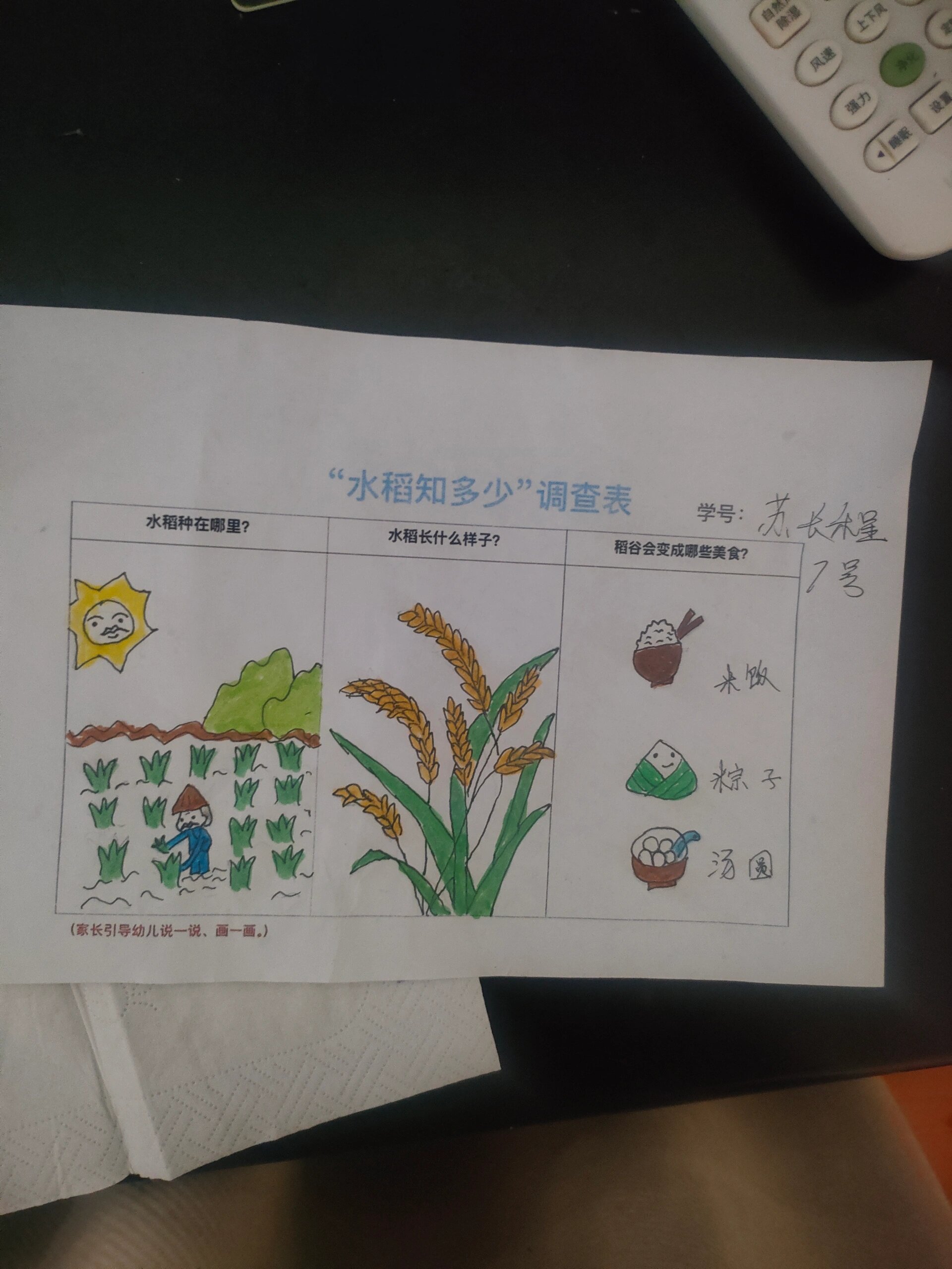 水稻的价格是多少(水稻现在的价格是多少)