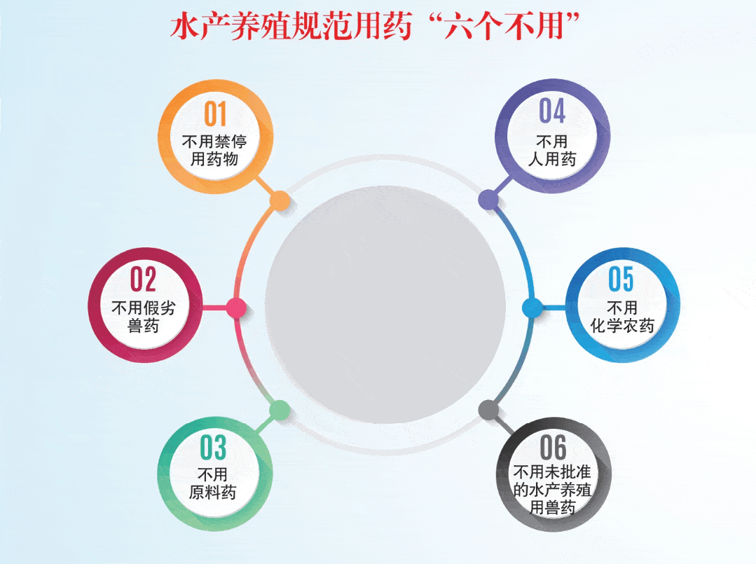 水产养殖规定(水产养殖规范管理方案)