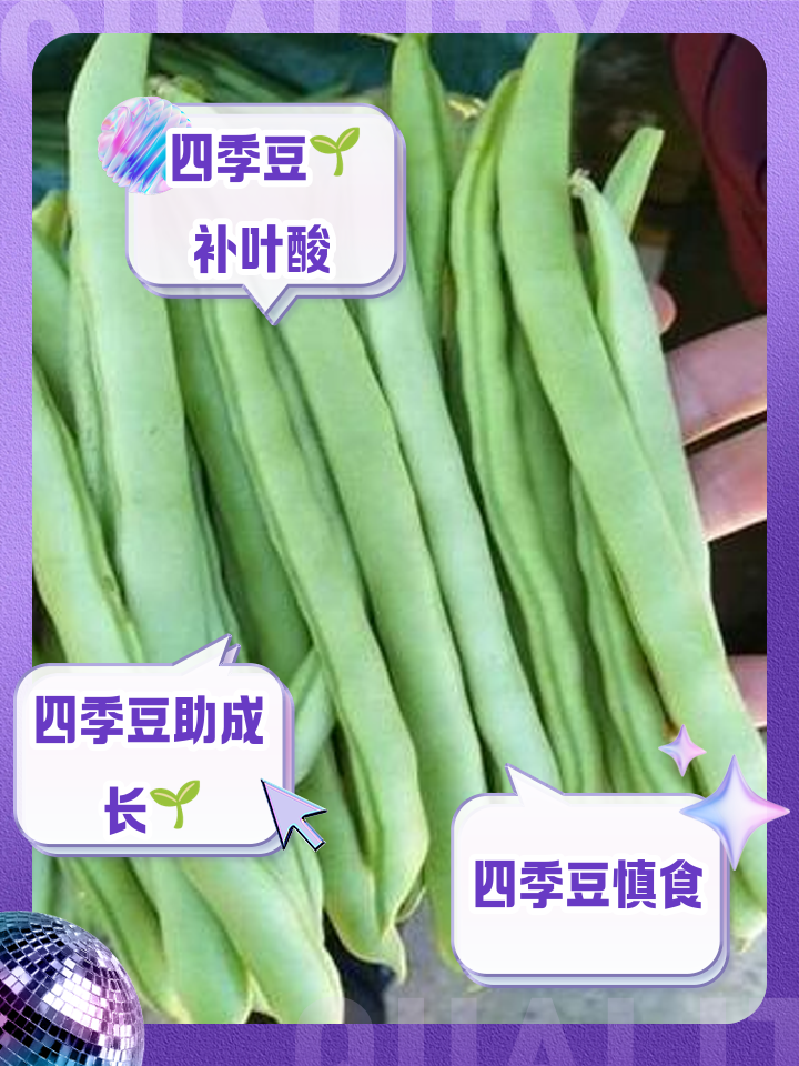 四季豆有什么好处(四季豆有什么好处和功效)