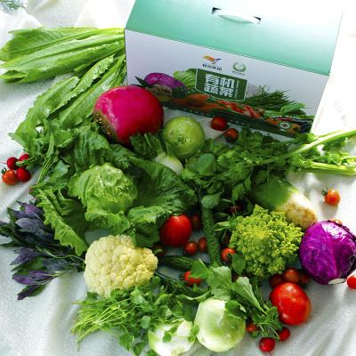 北京有机蔬菜批发(北京有机蔬菜批发市场在哪里)