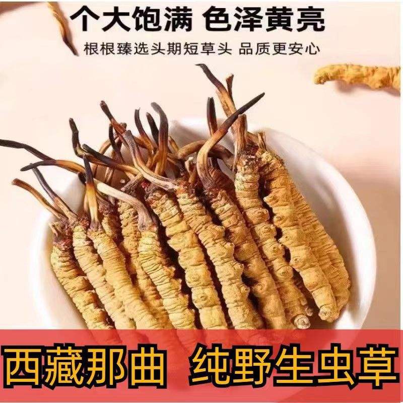 冬虫夏草是苦的(冬虫夏草是苦的吗)