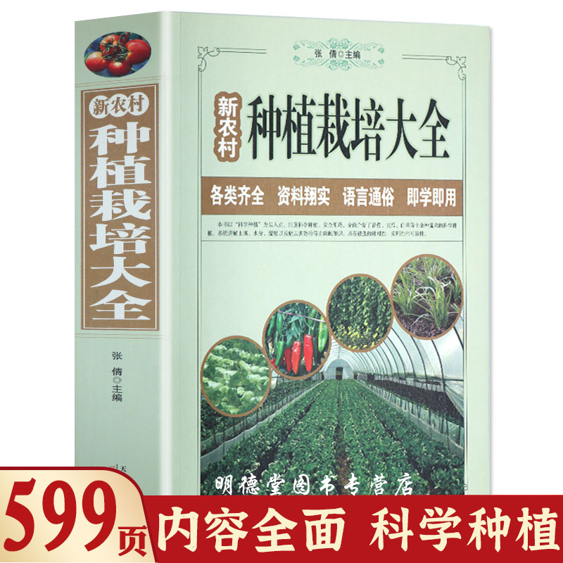 菜种植技术(绿色蔬菜种植技术)