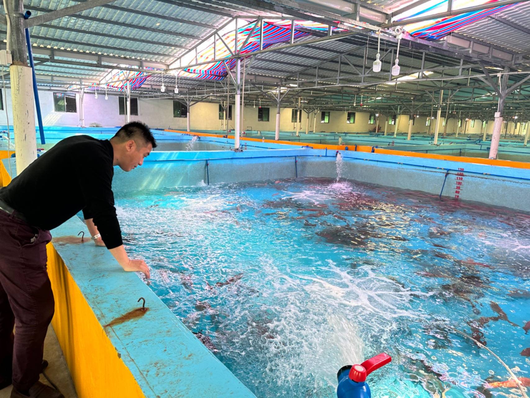 水产养殖保(水产养殖保险)