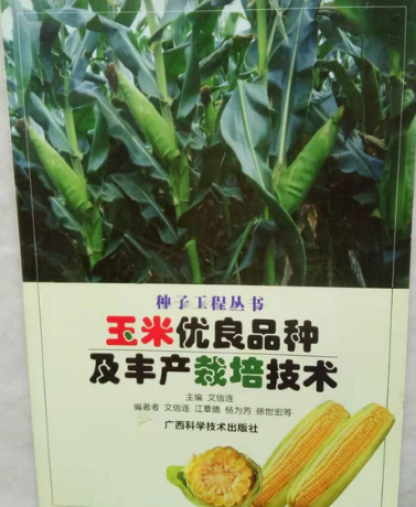 玉米种怎么培育(玉米种子培育需要多少步骤)