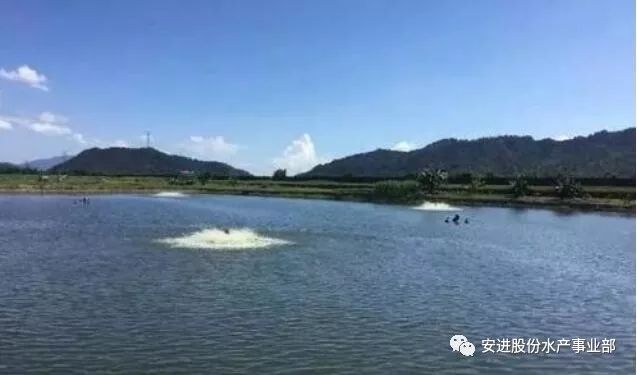 水产养殖资格证书(水产养殖资格证书有用吗)