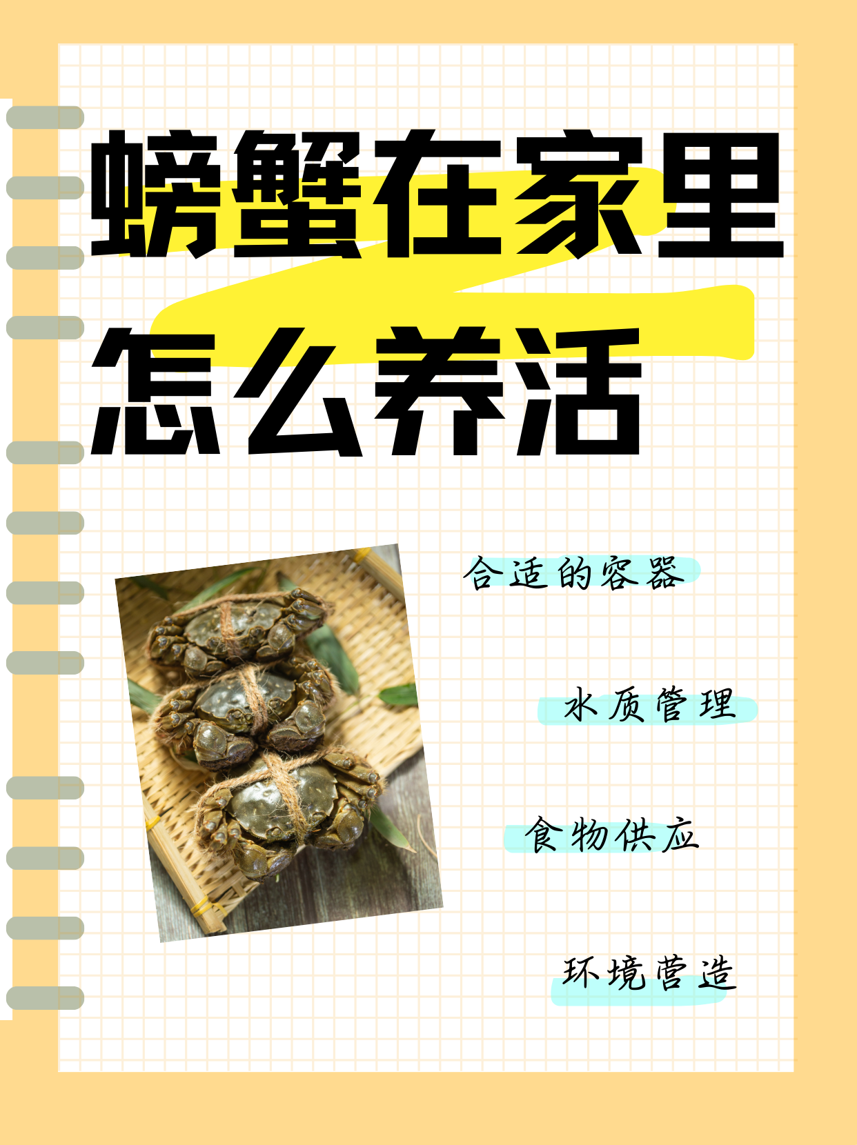 冬季螃蟹养殖技术(冬天怎么养螃蟹活的几率大)